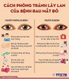 Cách phòng tránh lây lan bệnh đau mắt đỏ