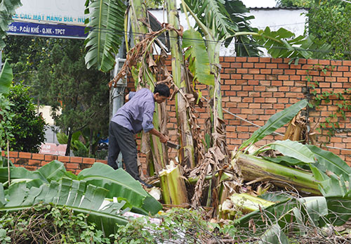 Người dân phát quang bụi rậm quanh nhà, tránh muỗi sinh sôi vào mùa mưa.