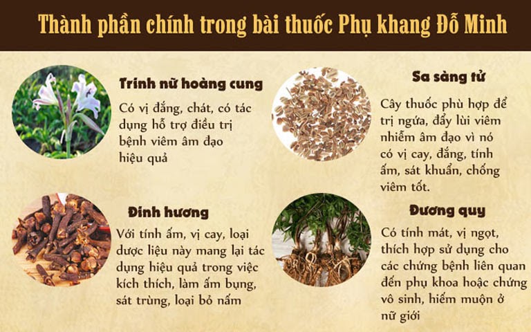 bai thuoc phu khang do minh chua benh phu khoa cho chi em thanh phan