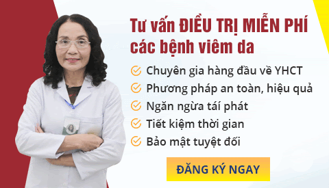 BannerViemda 02