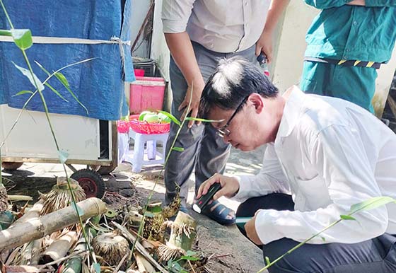 Ông Huỳnh Minh Trúc, Giám đốc CDC Cần Thơ, kiểm tra tình hình phòng chống dịch sốt xuất huyết tại quận Ninh Kiều