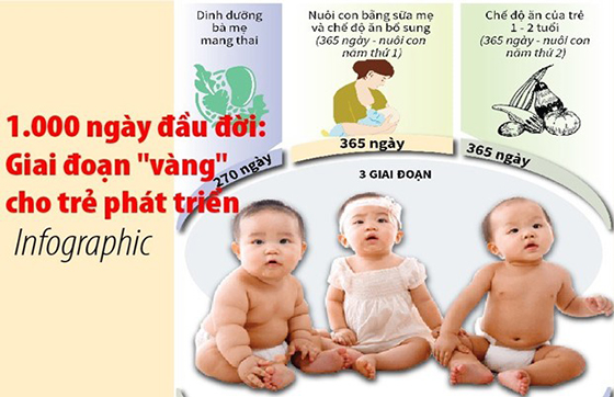 tuan le truyen thong 2