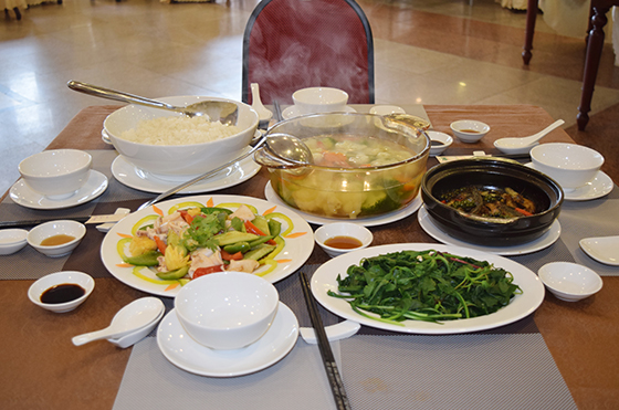 BAI DAI THAO DUONG THAI KY 03