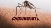Thông báo truyền thông cảnh báo bệnh chikungunya